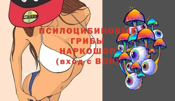хмурый Алексеевка