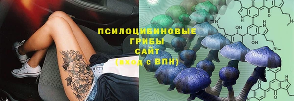 хмурый Алексеевка