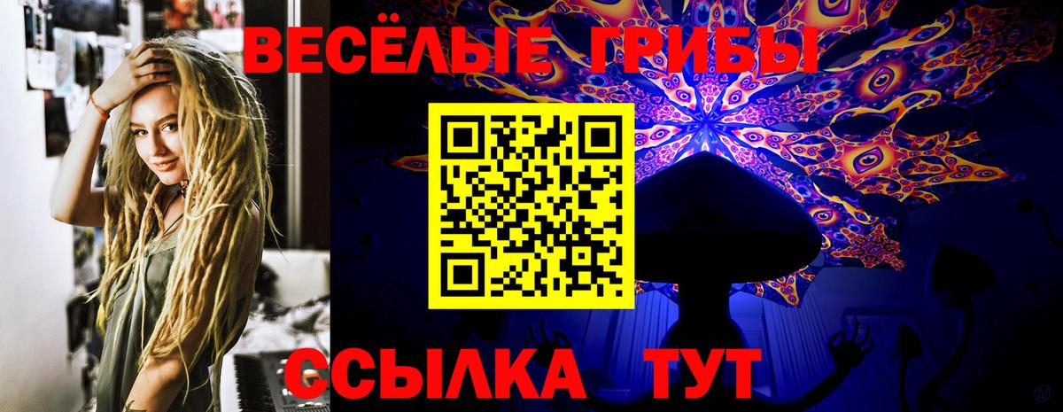 Псилоцибиновые грибы Psilocybine cubensis  Галлюциногенные грибы мицелий  Вход с VPN  Большой Камень 